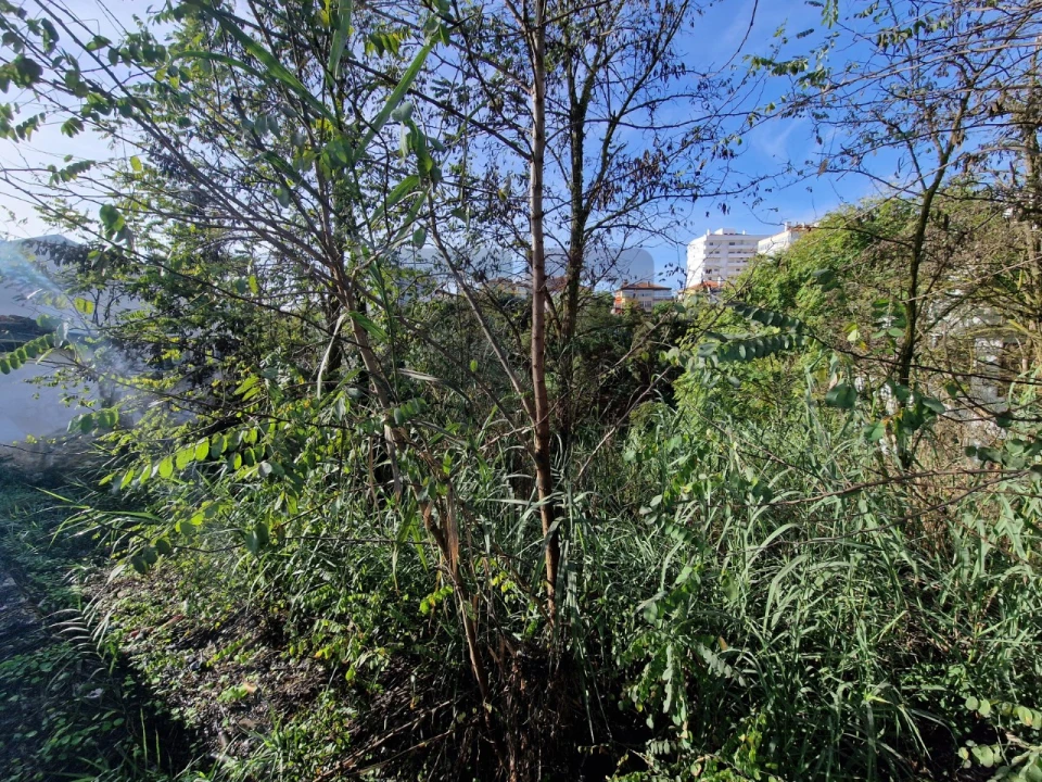 Terreno para Venda em Marvila, Ribeira Santarém, São Salvador, São Nicolau Foto 13
