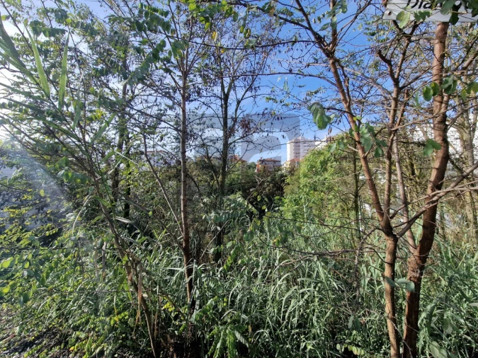 Terreno para Venda em Marvila, Ribeira Santarém, São Salvador, São Nicolau Foto 7