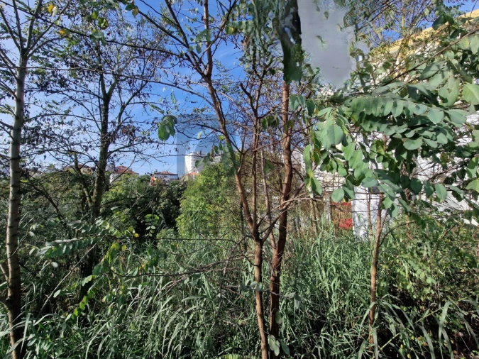 Terreno para Venda em Marvila, Ribeira Santarém, São Salvador, São Nicolau Foto 9