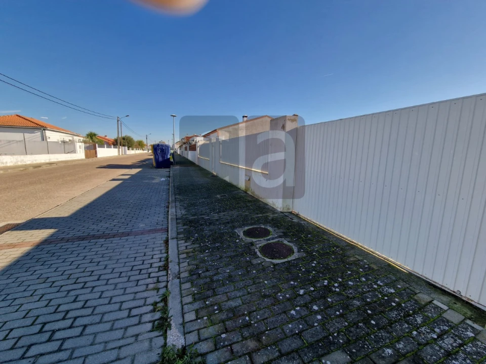 Terreno para Venda em Alpiarça Foto 3
