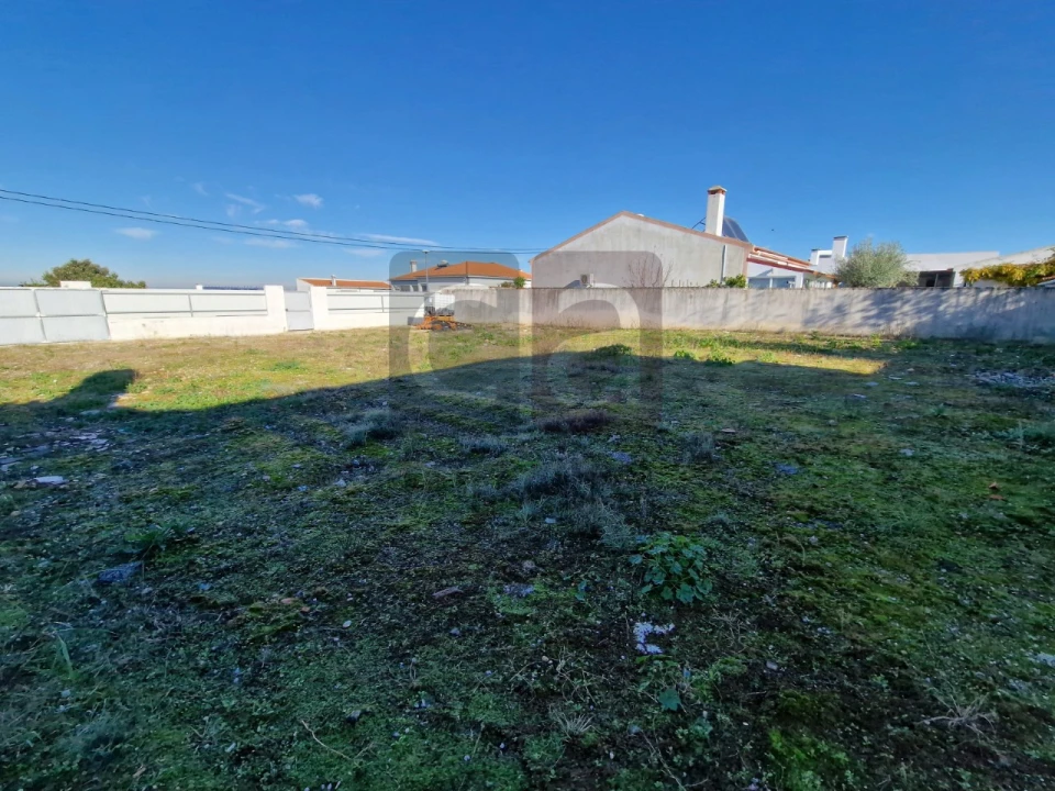 Terreno para Venda em Alpiarça Foto 6