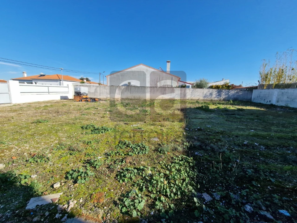 Terreno para Venda em Alpiarça Foto 9