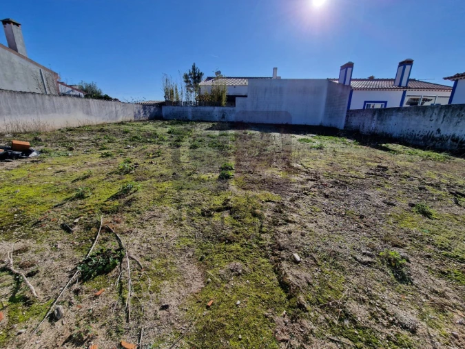 Terreno para Venda em Alpiarça Foto 4
