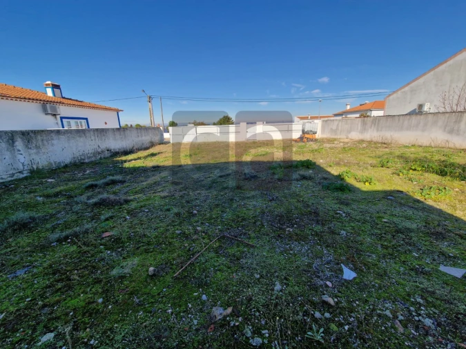 Terreno para Venda em Alpiarça Foto 7