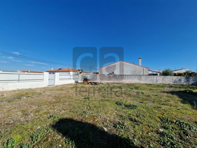 Terreno para Venda em Alpiarça Foto 10