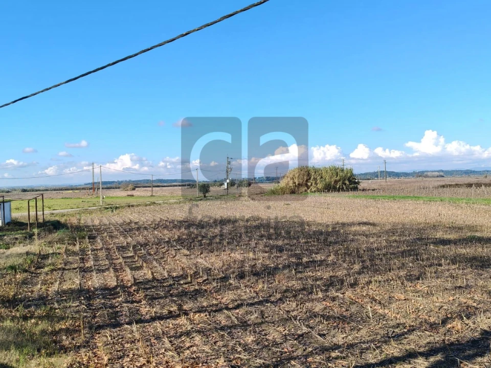 Terreno para Venda em Alpiarça Foto 5