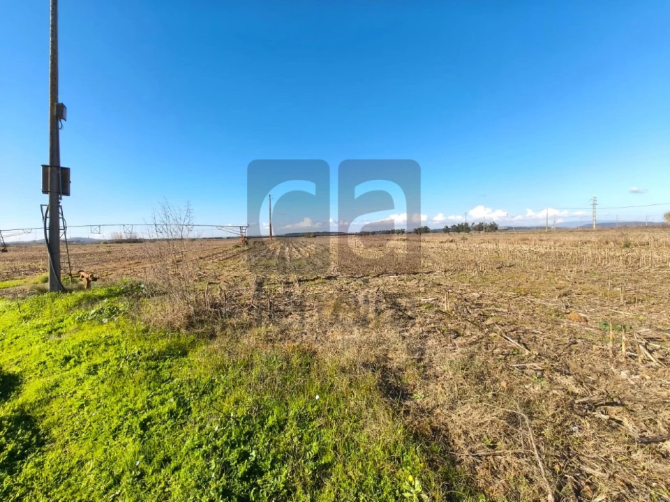 Terreno para Venda em Alpiarça Foto 7