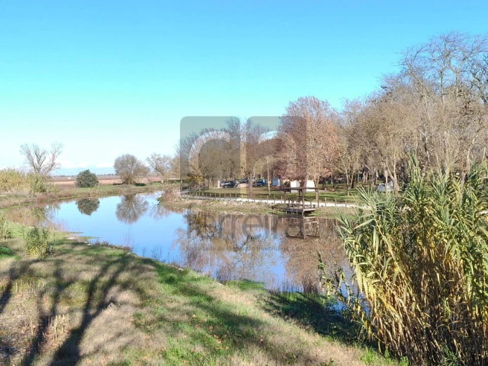 Terreno para Venda em Alpiarça Foto 8