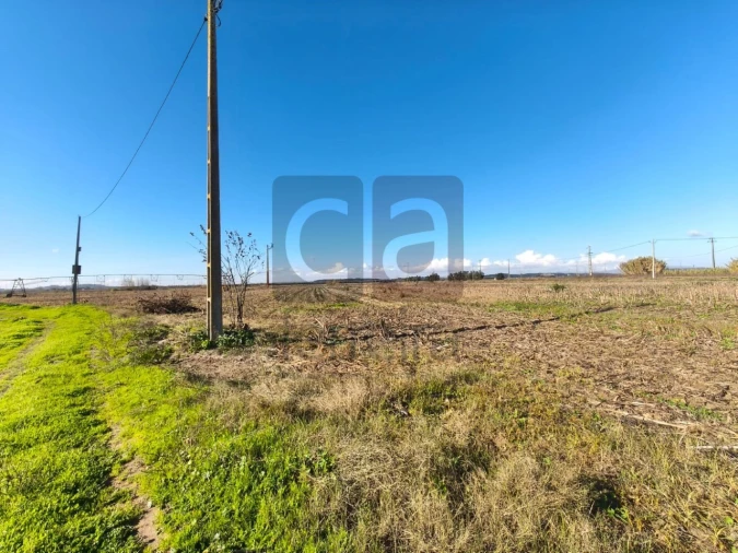 Terreno para Venda em Alpiarça Foto 3