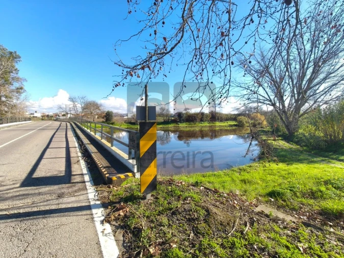 Terreno para Venda em Alpiarça Foto 11