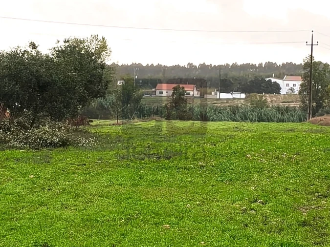 Terreno para Venda em Fazendas de Almeirim Foto 4