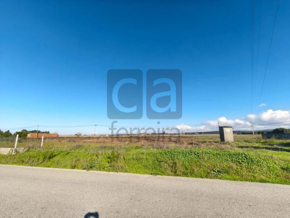 Terreno para Venda em Alpiarça Foto 9