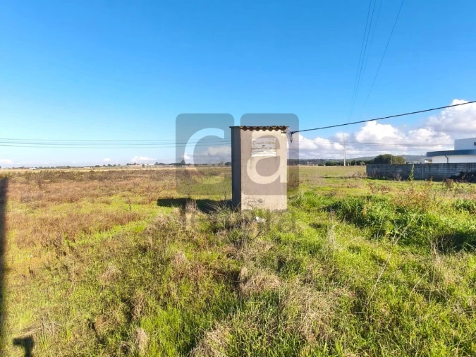 Terreno para Venda em Alpiarça Foto 8