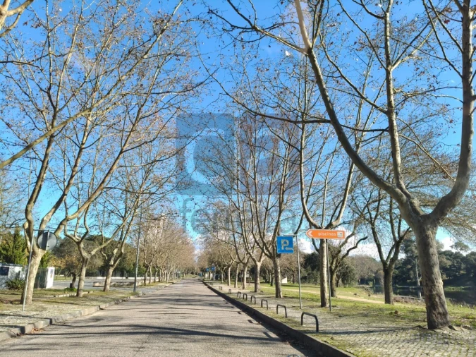 Terreno para Venda em Alpiarça Foto 12