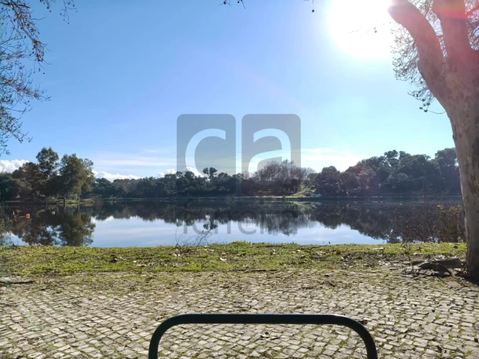 Terreno para Venda em Alpiarça Foto 17