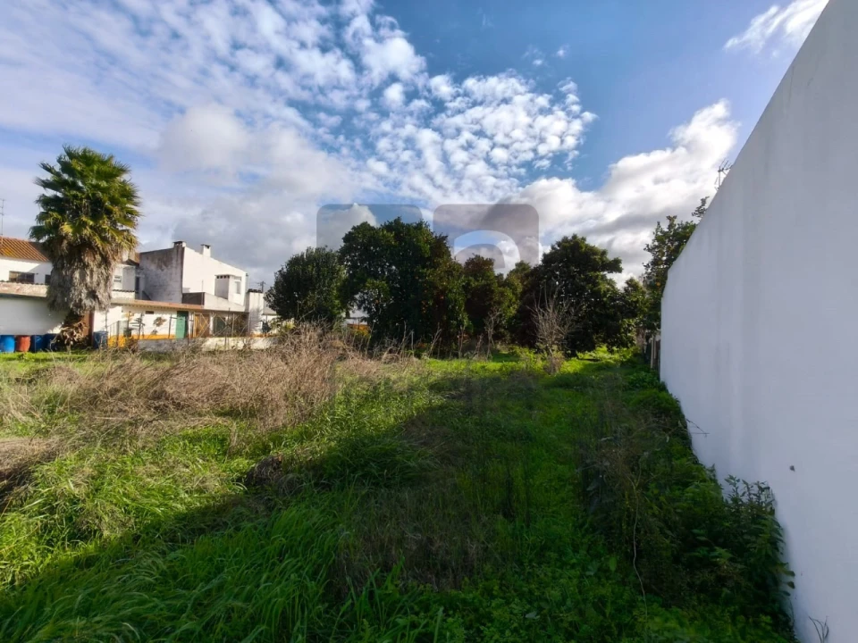 Terreno para Venda em Almeirim Foto 5