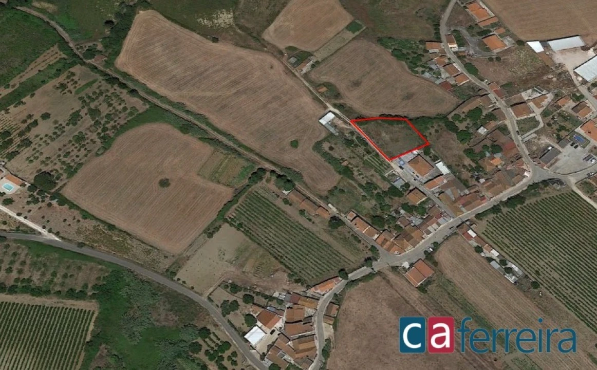 Terreno para Venda em Ribafria e Pereiro de Palhacana Foto 2