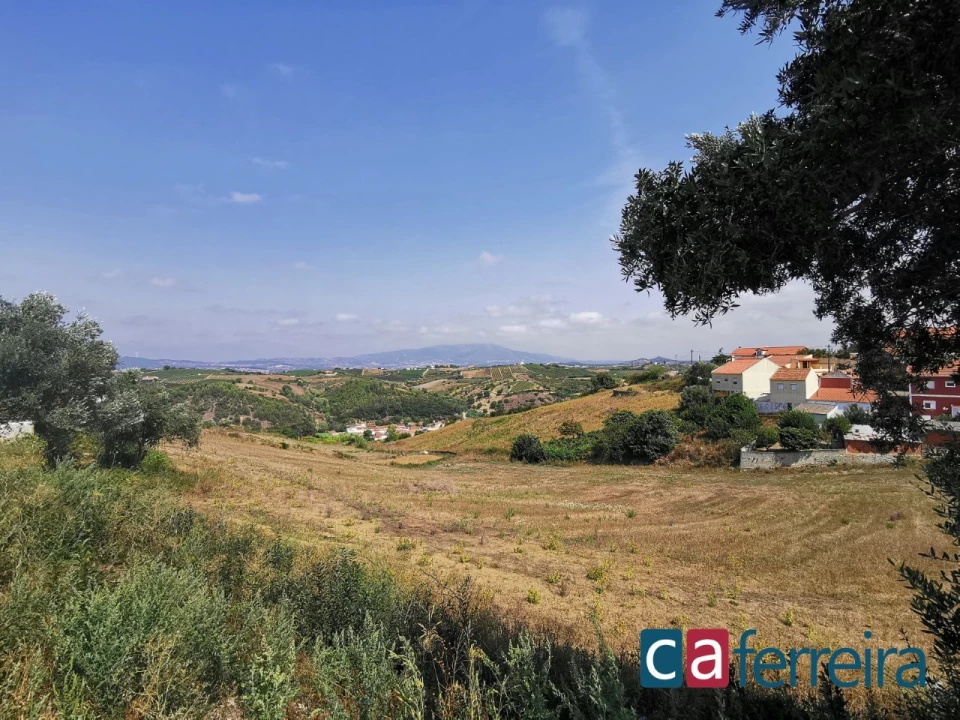Terreno para Venda em Ribafria e Pereiro de Palhacana Foto 8