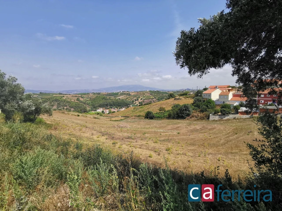 Terreno para Venda em Ribafria e Pereiro de Palhacana Foto 9