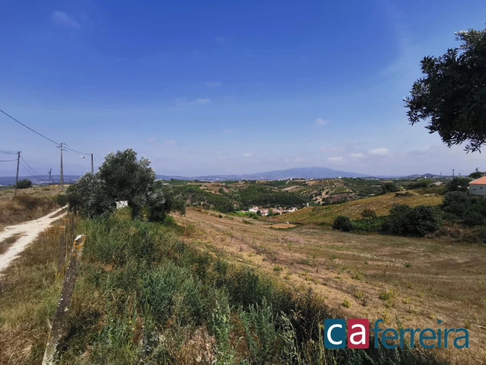 Terreno para Venda em Ribafria e Pereiro de Palhacana Foto 10