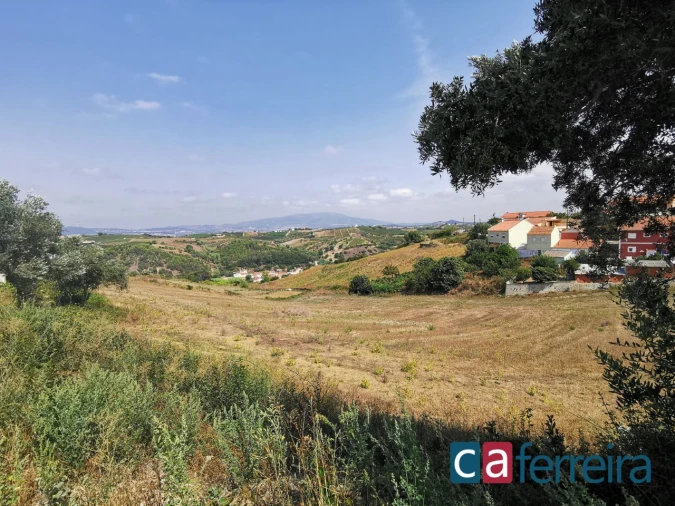 Terreno para Venda em Ribafria e Pereiro de Palhacana Foto 1