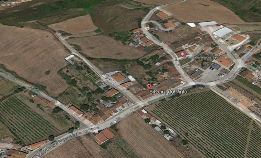 Terreno para Venda em Ribafria e Pereiro de Palhacana Foto 5