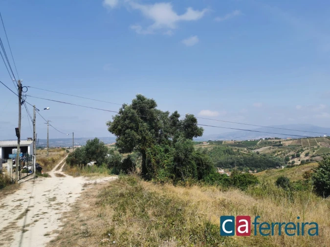 Terreno para Venda em Ribafria e Pereiro de Palhacana Foto 7