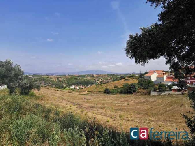 Terreno para Venda em Ribafria e Pereiro de Palhacana Foto 8