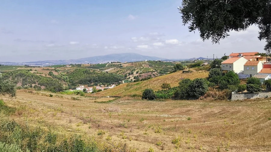 Terreno para Venda em Ribafria e Pereiro de Palhacana