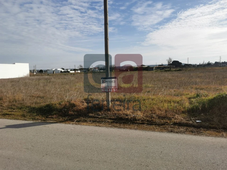 Terreno para Venda em Alpiarça Foto 4