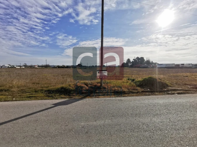 Terreno para Venda em Alpiarça Foto 1