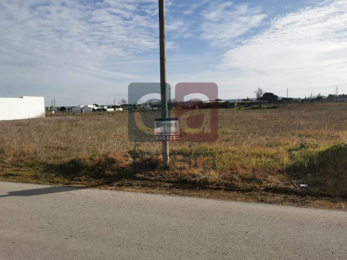Terreno para Venda em Alpiarça Foto 4