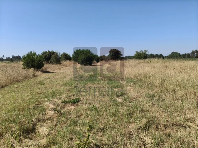Terreno para Venda em Alpiarça Foto 18