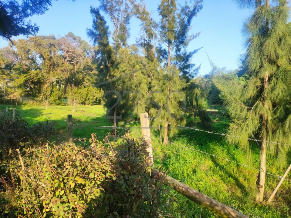 Terreno para Venda em Cascais e Estoril Foto 2