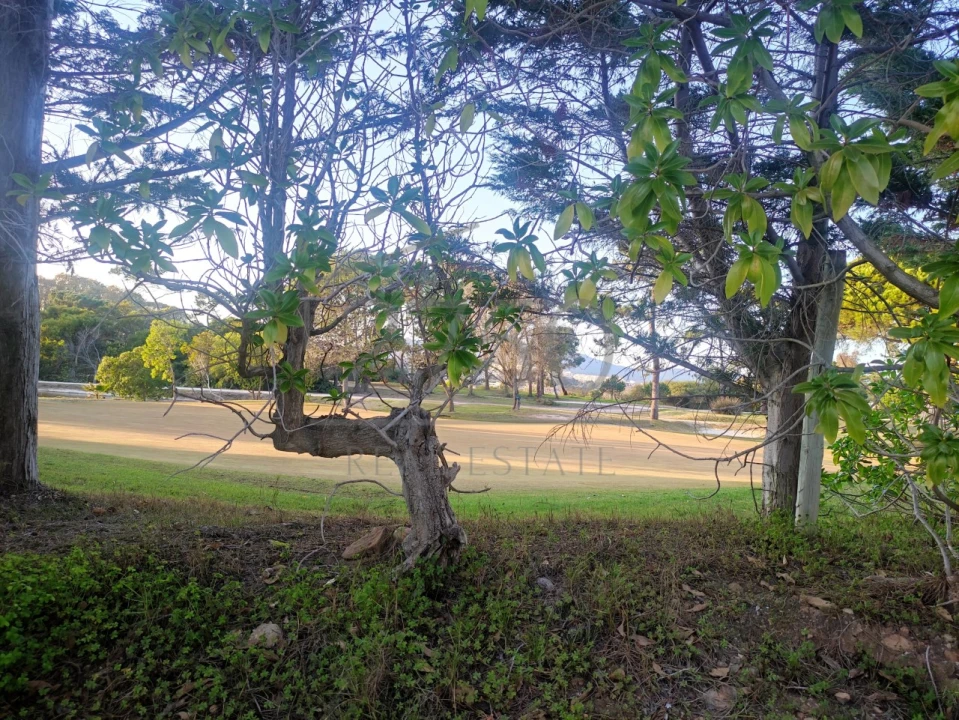 Terreno para Venda em Cascais e Estoril Foto 4