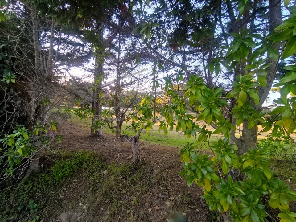 Terreno para Venda em Cascais e Estoril Foto 5