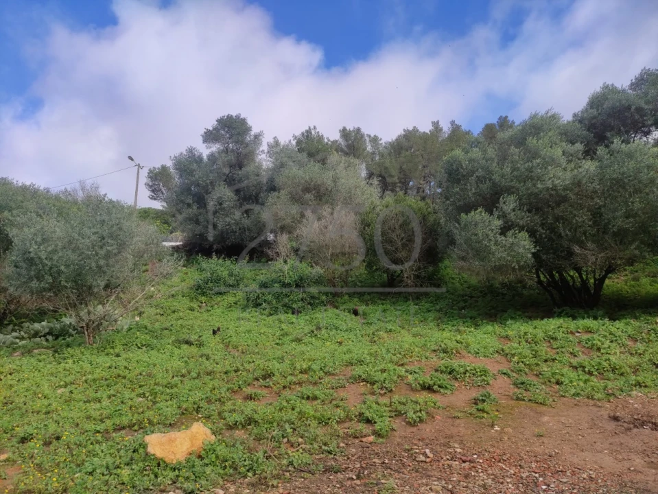 Terreno para Venda em Cascais e Estoril Foto 14