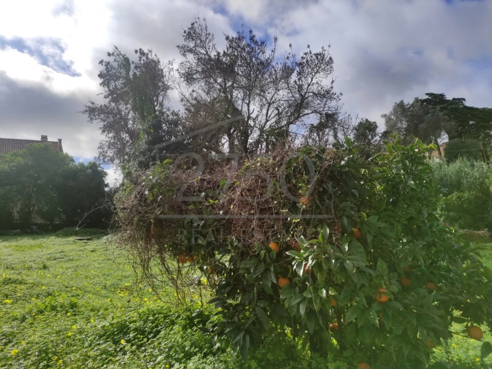 Terreno para Venda em Cascais e Estoril Foto 15