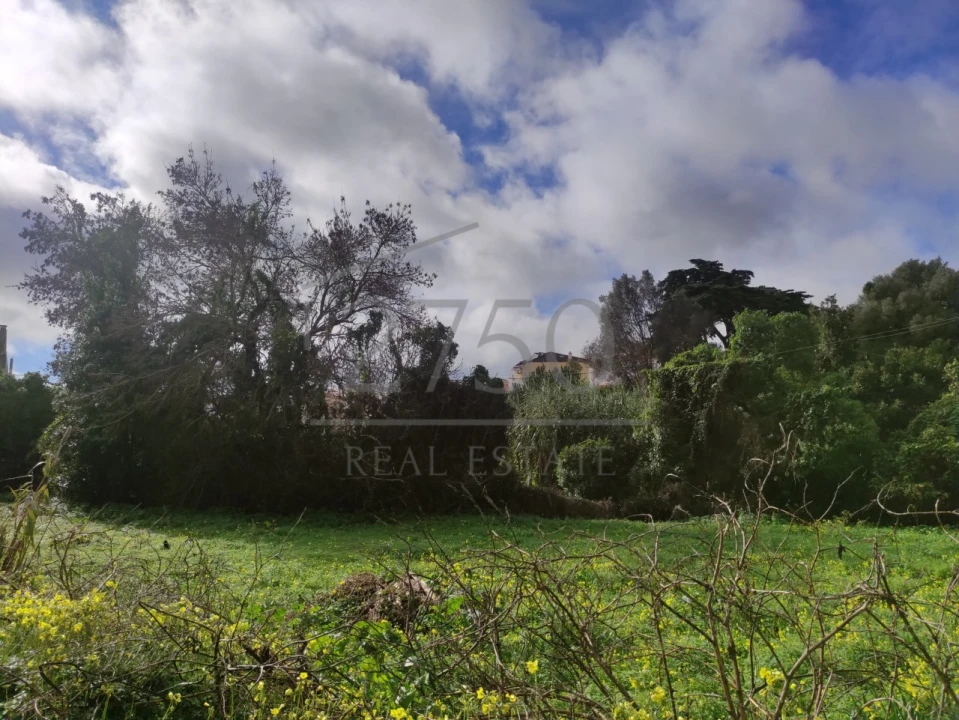 Terreno para Venda em Cascais e Estoril Foto 16