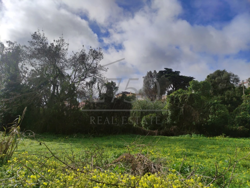 Terreno para Venda em Cascais e Estoril Foto 17