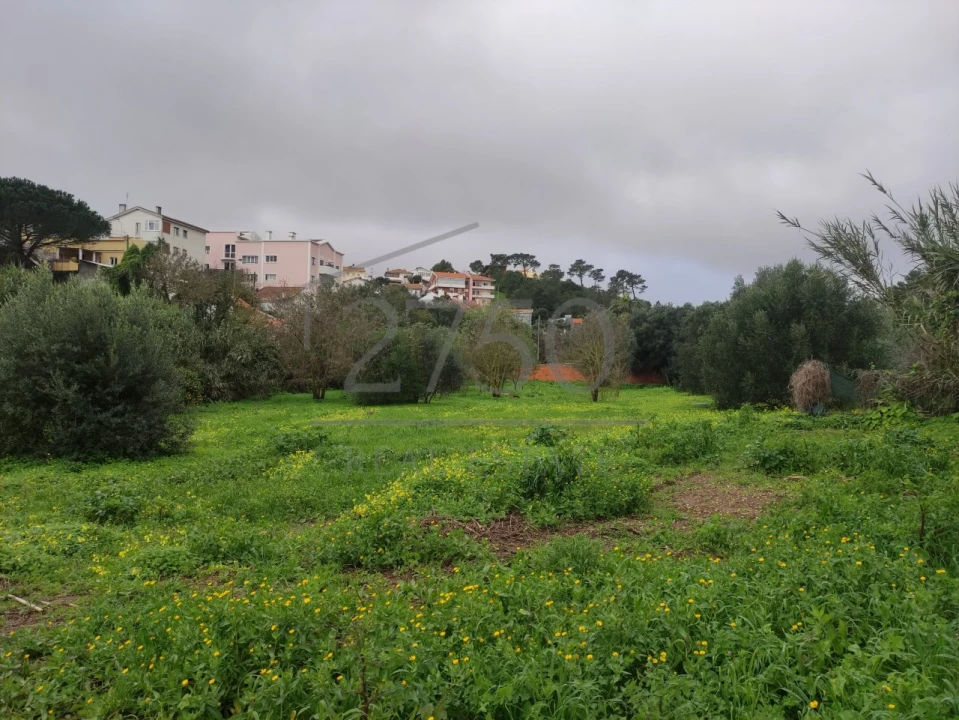 Terreno para Venda em Cascais e Estoril Foto 20