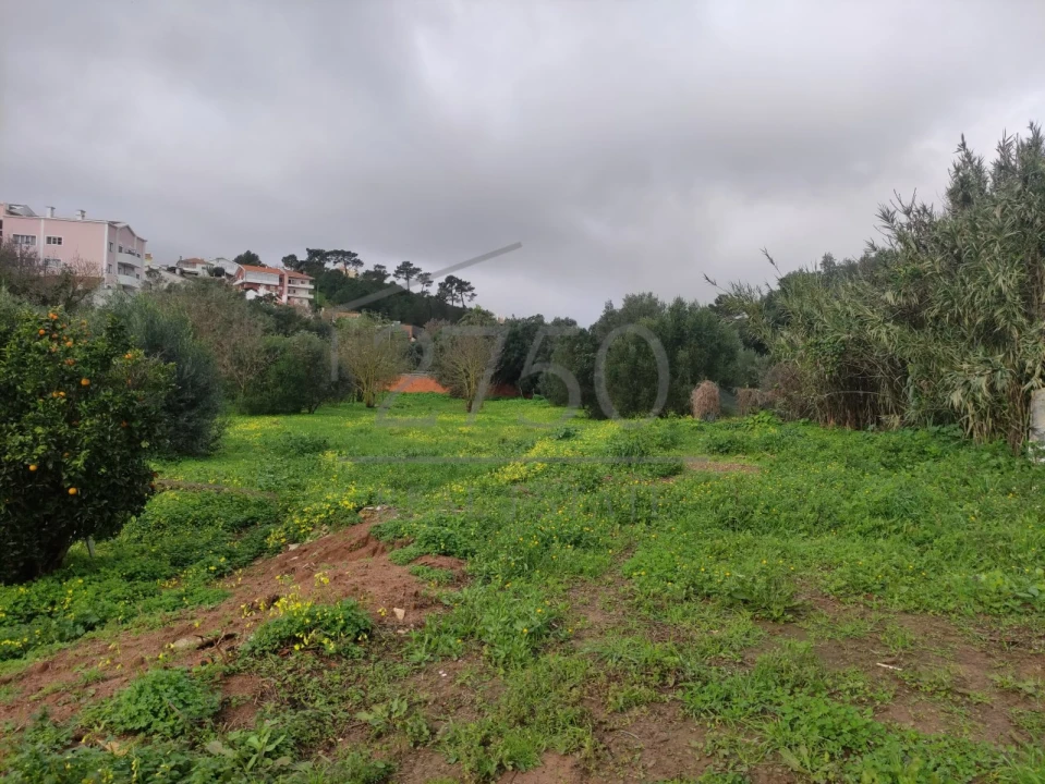 Terreno para Venda em Cascais e Estoril Foto 22