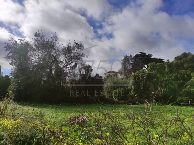 Terreno para Venda em Cascais e Estoril Foto 16