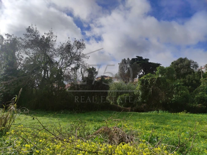 Terreno para Venda em Cascais e Estoril Foto 17
