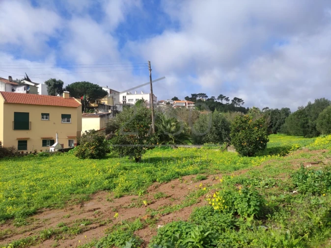 Terreno para Venda em Cascais e Estoril Foto 18