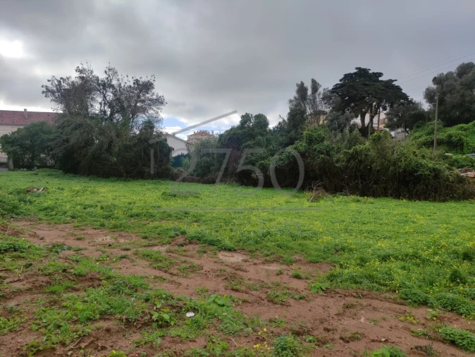 Terreno para Venda em Cascais e Estoril Foto 21