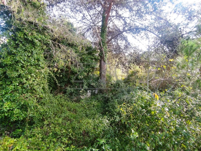 Terreno para Venda em Cascais e Estoril Foto 5