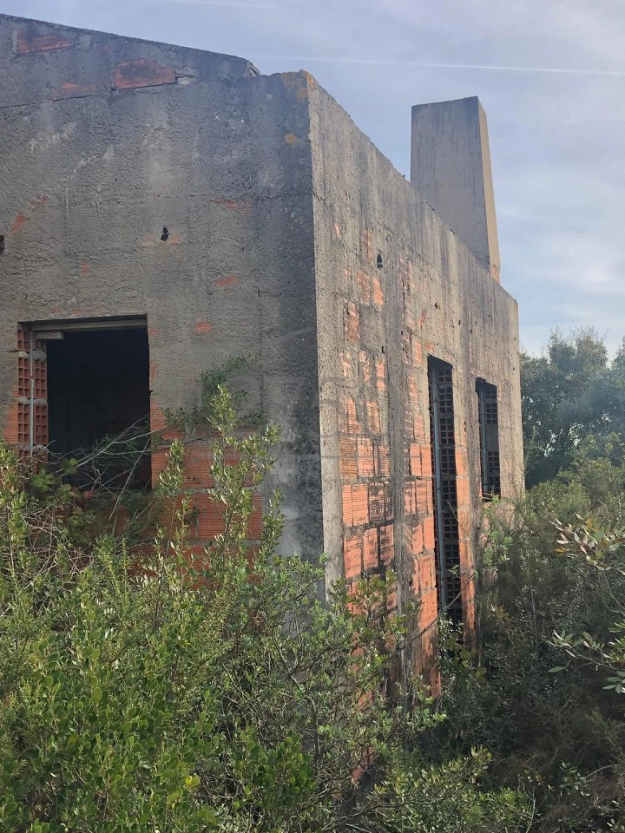 Terreno para Venda em Almoster Foto 9