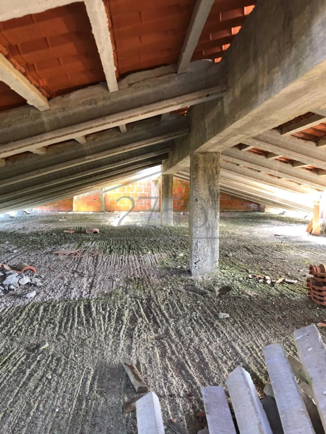 Terreno para Venda em Almoster Foto 11