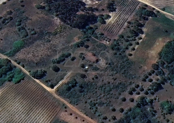 Terreno para Venda em Almoster Foto 1
